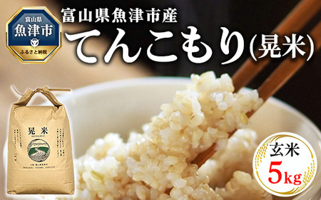 【令和8年度米】【農家直送】環境配慮「魚津のてんこもり（晃米）」5kg（玄米） ｜新米 MK農産 玄米 銘柄米 ご飯 おにぎり お弁当 和食 主食 国産 産地直送 甘み 香り もちもち ※2026年11月～発送