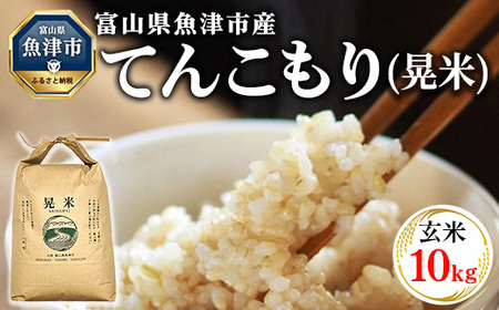 【令和8年度米】【農家直送】環境配慮「魚津のてんこもり（晃米）」10kg（玄米） ｜新米 MK農産 玄米 銘柄米 ご飯 おにぎり お弁当 和食 主食 国産 産地直送 甘み 香り もちもち ※2026年11月～発送