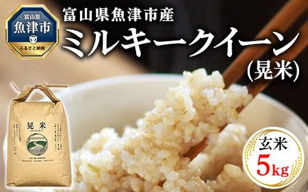 【令和6年度米】環境配慮「魚津のミルキークイーン（晃米）」5kg（玄米） ｜新米 MK農産 玄米 銘柄米 ブランド米 ご飯 おにぎり お弁当 和食 主食 国産 産地直送 甘み 香り もちもち ※2024年10月下旬頃より順次発送予定 ※北海道・沖縄・離島への配送不可