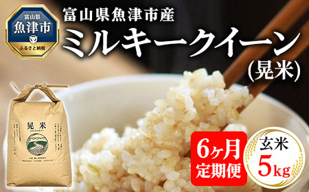 【6ヶ月定期便】【令和6年度米】「魚津のミルキークイーン（晃米）」5kg（玄米） ｜新米 環境配慮 MK農産 お米 ブランド米 銘柄米 玄米 ご飯 おにぎり 産地直送 甘み 粘り もちもち ※2024年10月下旬頃より順次発送予定 ※北海道・沖縄・離島への配送不可