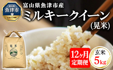 【12ヶ月定期便】【令和6年度米】「魚津のミルキークイーン（晃米）」5kg（玄米） ｜新米 環境配慮 MK農産 お米 ブランド米 銘柄米 玄米 ご飯 おにぎり 産地直送 甘み 粘り もちもち ※2024年10月下旬頃より順次発送予定 ※北海道・沖縄・離島への配送不可