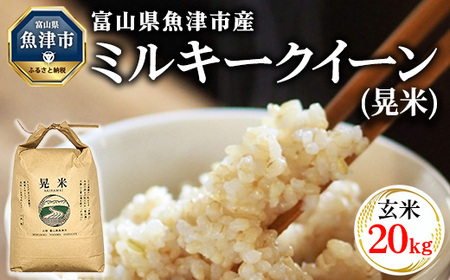 【令和6年度米】環境配慮「魚津のミルキークイーン（晃米）」20kg（玄米） ｜新米 MK農産 玄米 銘柄米 ブランド米 ご飯 おにぎり お弁当 和食 主食 国産 産地直送 甘み 香り もちもち ※2024年10月下旬頃より順次発送予定 ※北海道・沖縄・離島への配送不可