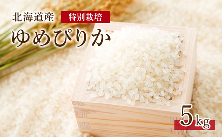 ゆめぴりか 産直米 精米 北海道産 ゆめぴりか【5kg】