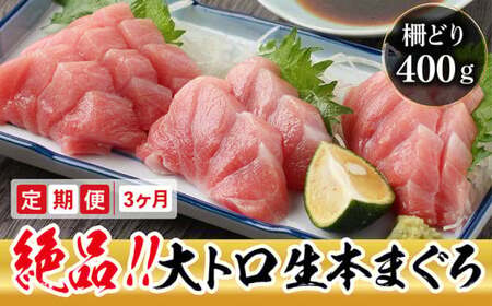 【定期便3回】冷蔵でお届け！満足！生本マグロ 大トロ（柵どり） 400g × 3回お届け （毎月お届け） 