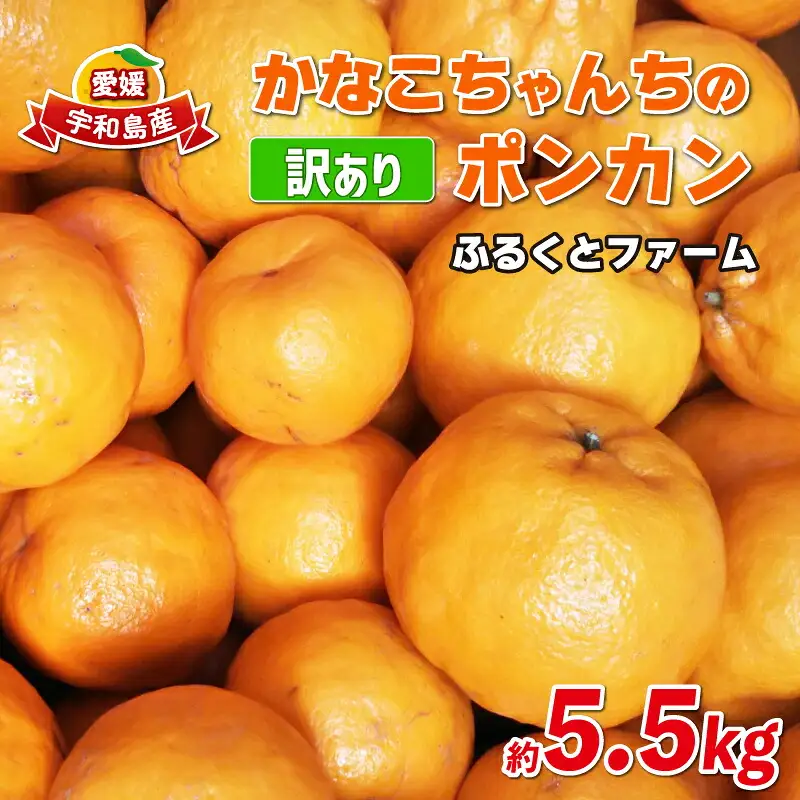 訳あり ポンカン みかん 約5.5kg ふるくとファーム 柑橘柑橘柑橘柑橘柑橘 B010-037006
