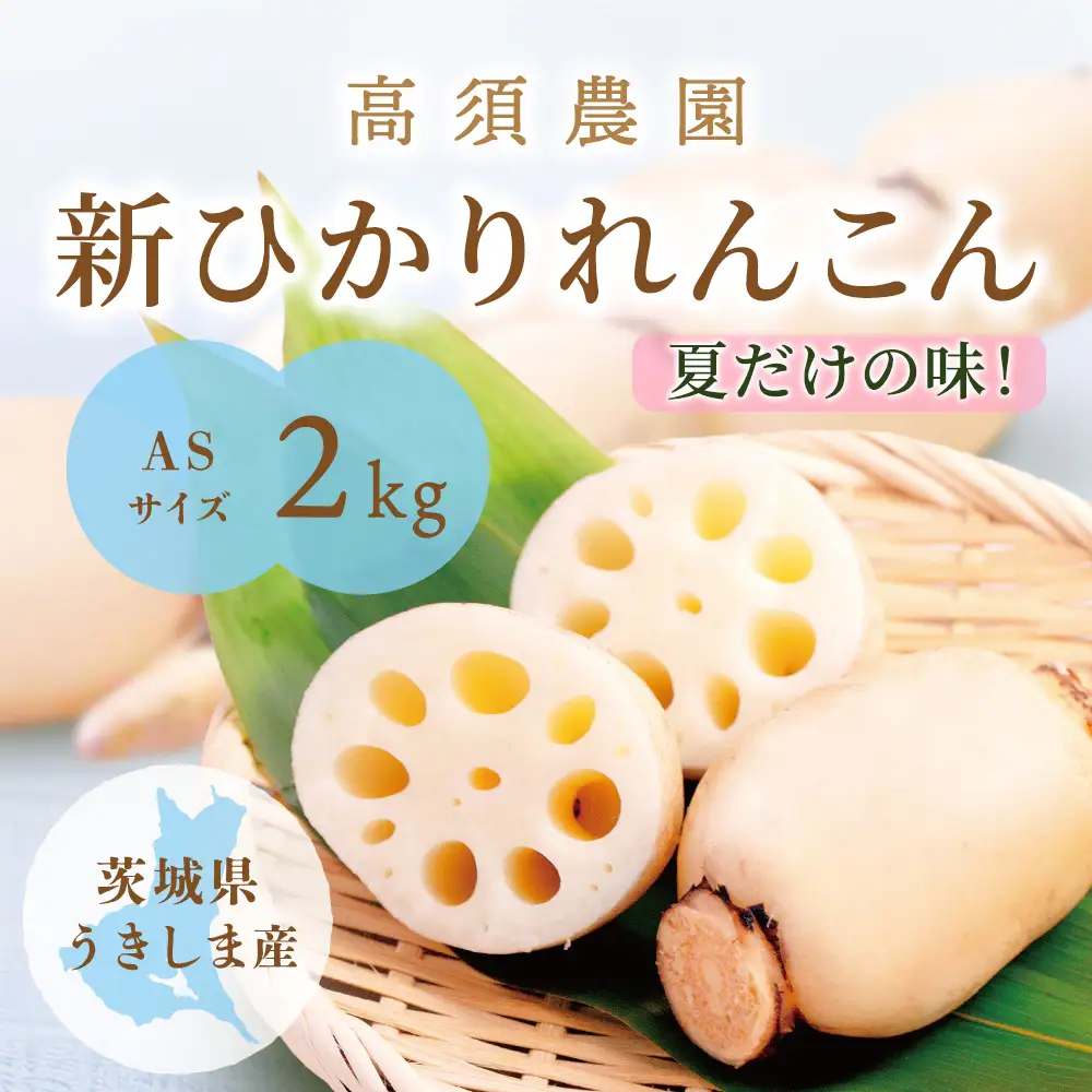 夏だけの味！「新ひかりれんこん」2kg (ASサイズ) 専用箱入 [1743]