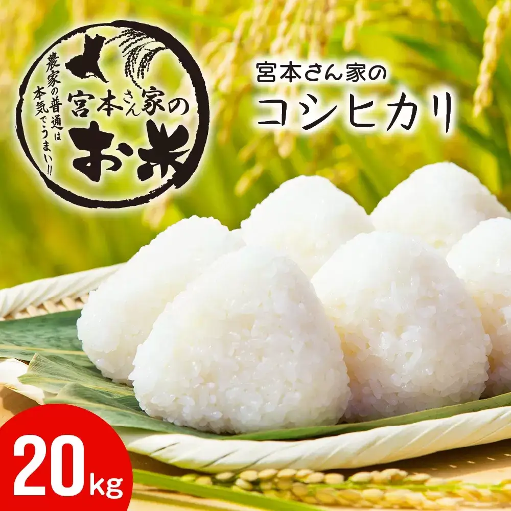 【令和7年産】茨城県稲敷市産 宮本さん家のこしひかり 20kg(10kg×2袋) [1654]