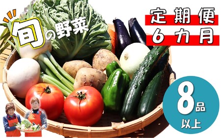 定期便 6ヶ月 旬の野菜セット B 岩手県 北上市 J0095 岩手県産 旬の野菜 詰合わせ セット