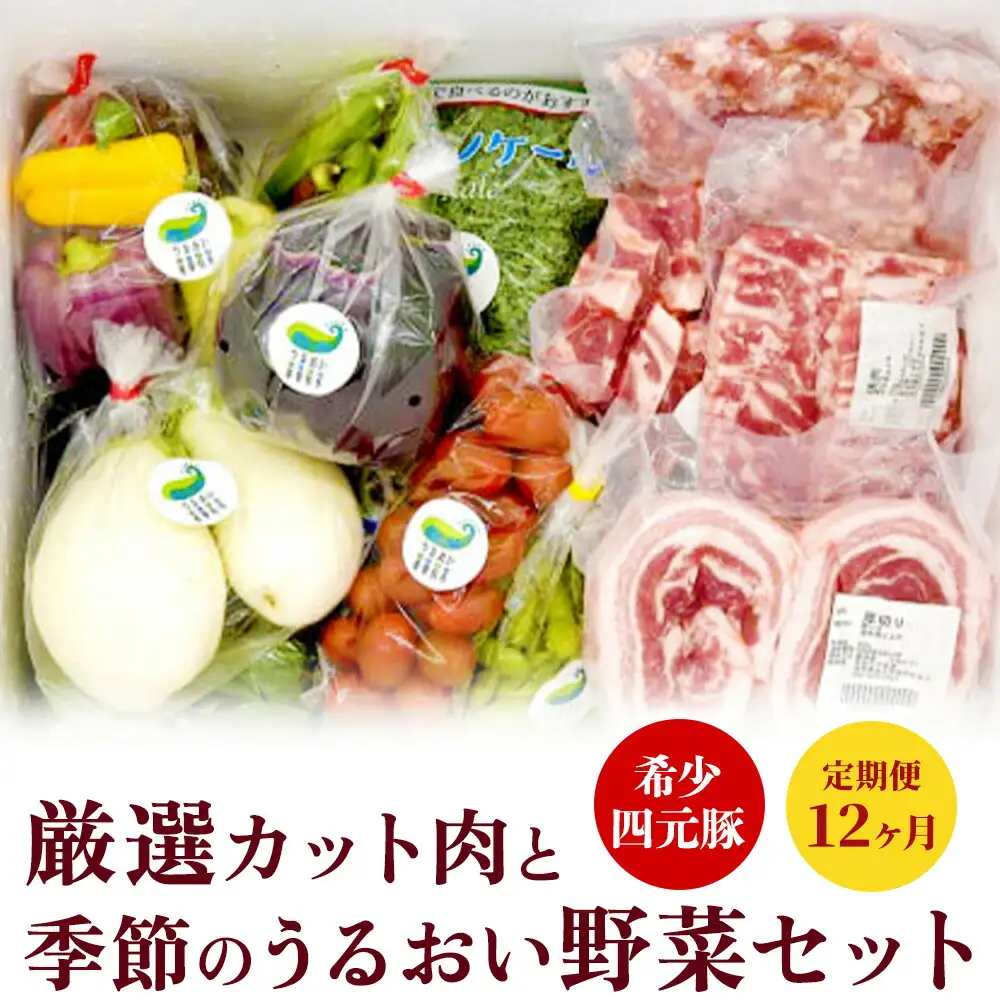 12ヶ月定期便 四元豚 おまかせカット肉 & 季節のうるおい野菜 セット GIFTON お歳暮 お中元  ギフト プレゼント 母の日 父の日 誕生日 お祝い 卒業祝い 入学祝い バーベキュー BBQ 焼肉 ファミリー パーティー 子供会 肉 セット 野菜 セット 旬の野菜 季節の野菜 豚肉 カット肉 岩手県 北上市 ごえん 株式会社  R0018R0807