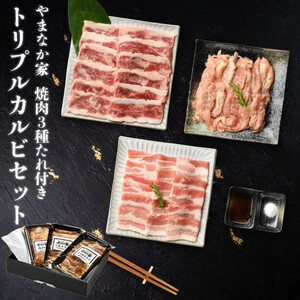 やまなか家のトリプルカルビ　食べ比べセット計700g（お肉600g+たれ100g）(G-010)　 岩手県 北上市 C0274 （KYフーズ）牛 豚 鶏肉 焼肉 カルビ 