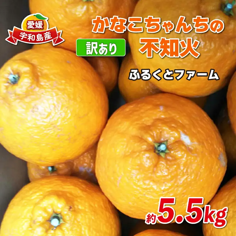 訳あり 不知火 約5.5kg ふるくとファーム デコポン ( デコポン と同品種) B010-037008