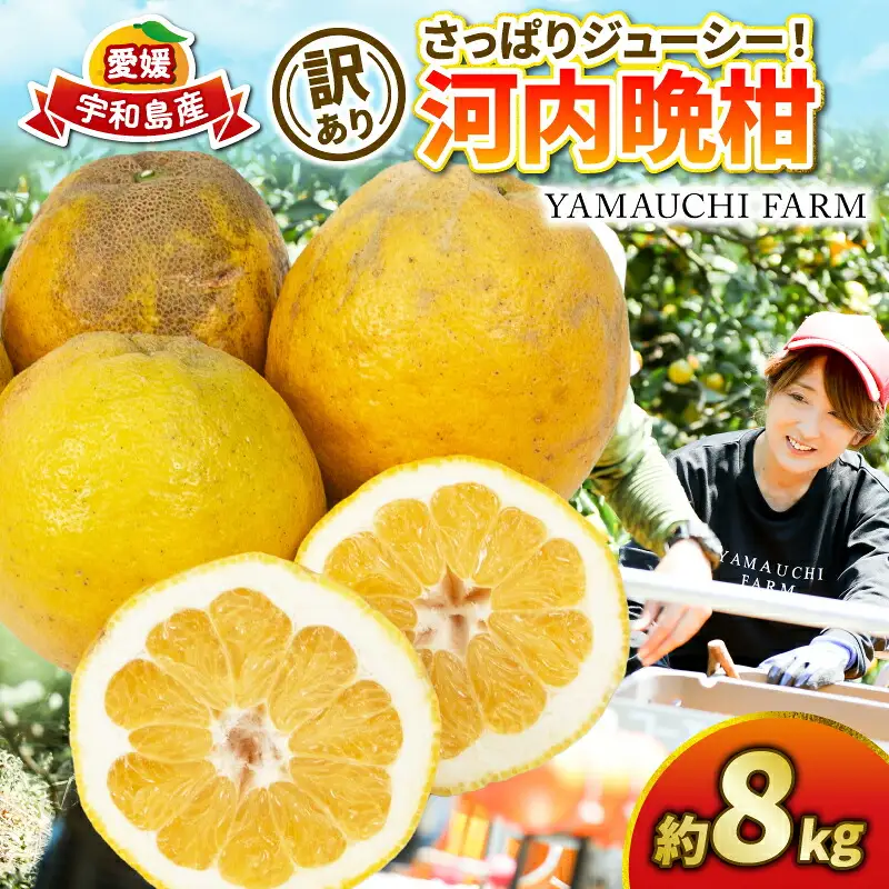 訳あり 河内晩柑 約 8kg YAMAUCHI FARM  河内晩柑 B010-084006