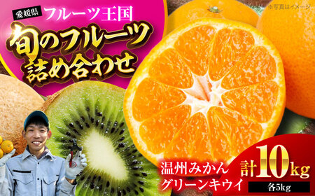 フルーツ 詰め合わせ（みかん・キウイ 各5kg）【12月上旬から順次発送】フルーツ [AGBC009]