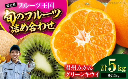 果物 詰め合わせ（みかん・キウイ 各2.5kg）【12月上旬から順次発送】果物 [AGBC010]