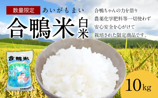 〈令和7年産〉合鴨米 白米 10kg【2025年10月上旬～2026年10月上旬発送予定】
