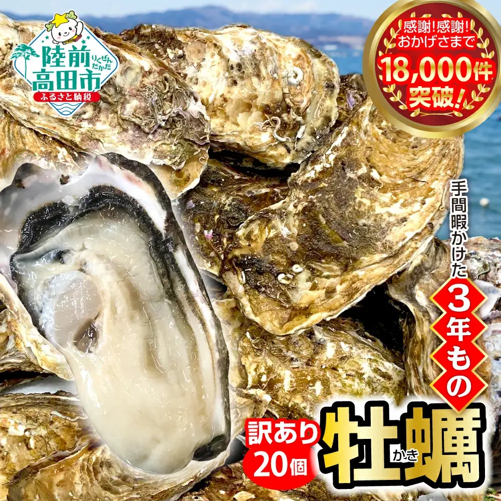 殻付き生牡蠣 20個 訳あり 三陸産 旬 生牡蠣