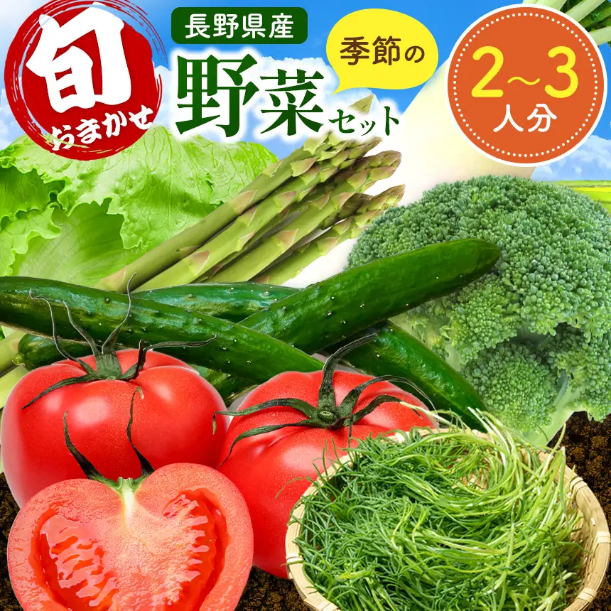 おまかせ野菜セット 2～3人分 約 5kg