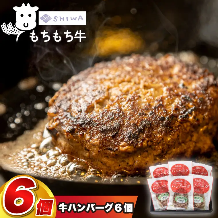 しわもちもち牛入り ハンバーグ 6個入 (AM008) オリジナルソース付き
