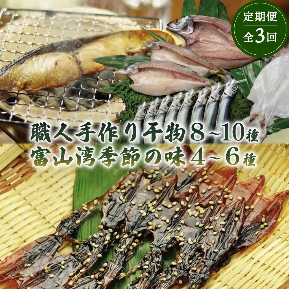 【年間3回定期便】『ホタルイカ』『白えび』『氷見ぶり』季節の味と熟練職人手捌きの一夜干真空パックセット