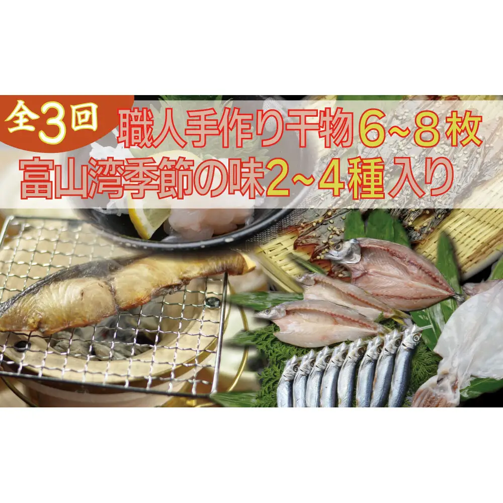 【年間3回定期便】『ホタルイカ』『白えび』『氷見ぶり』季節の味と熟練職人手捌きの一夜干真空パック