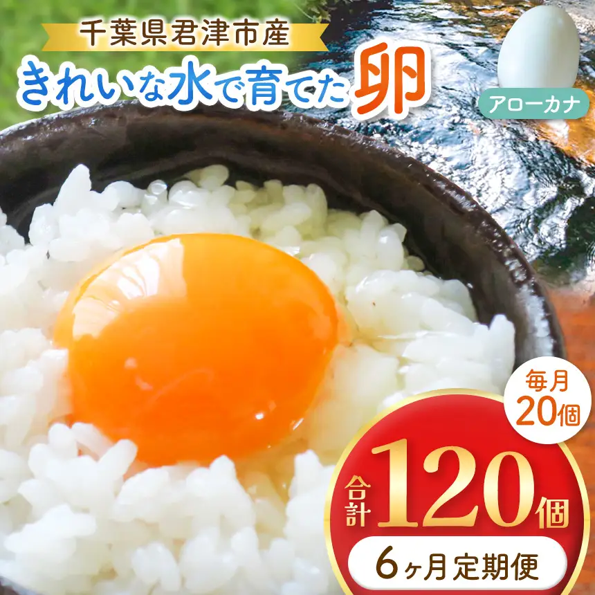 【6回定期便】きれいな水で育てた卵 アローカナ 20個 
