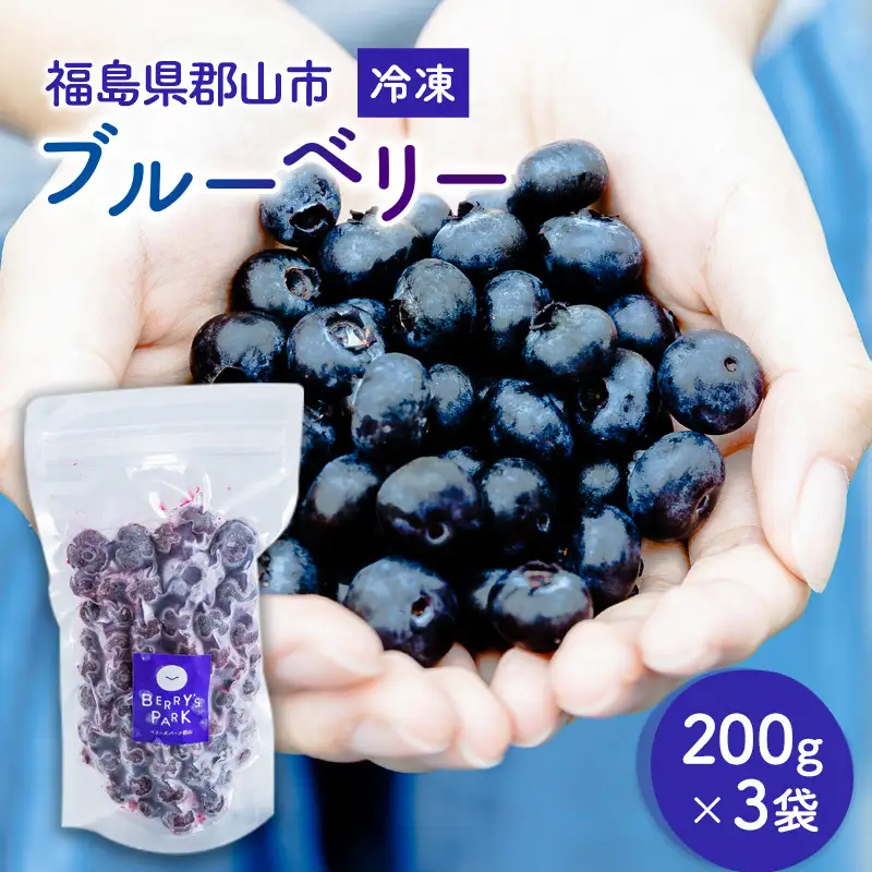 冷凍ブルーベリー200g×3袋(600g) 果物詰合せ フルーツ 