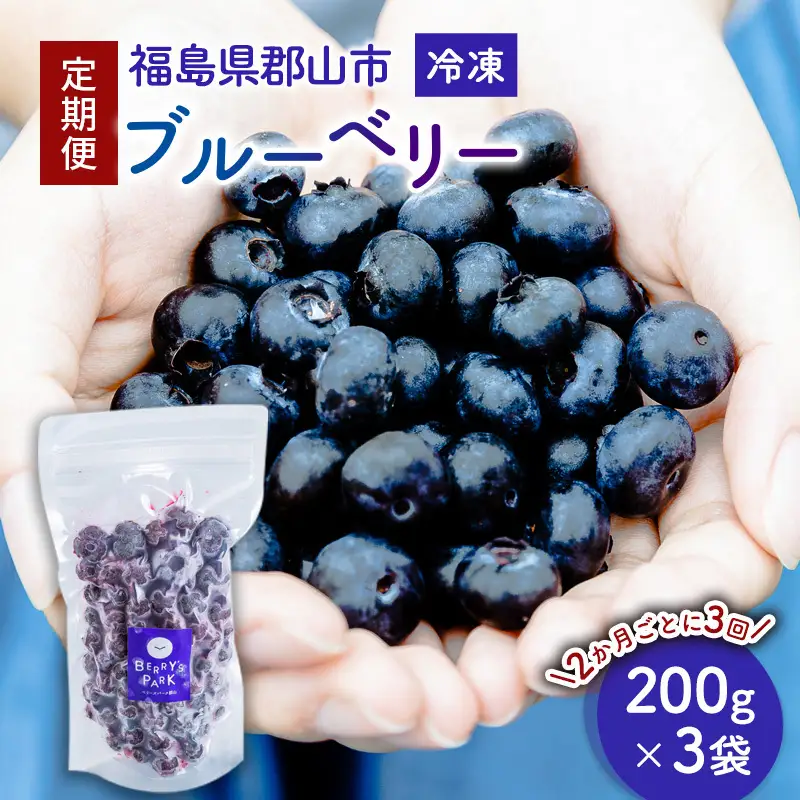 【定期便】冷凍ブルーベリー600gを2か月ごと3回 果物詰合せ フルーツ 