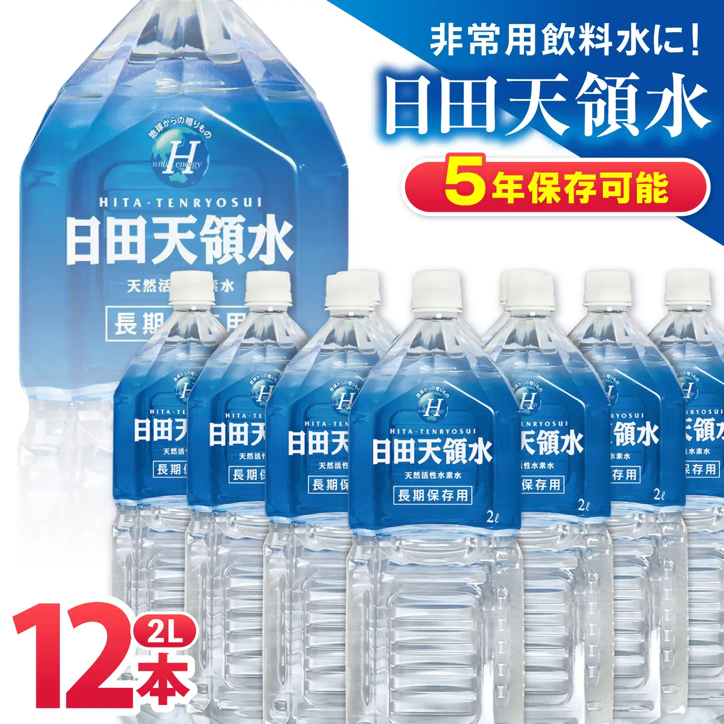 日田天領水 長期保存用 2L×6本×2箱 天然水 備蓄 防災 ミネラルウォーター シリカ[AREG032]