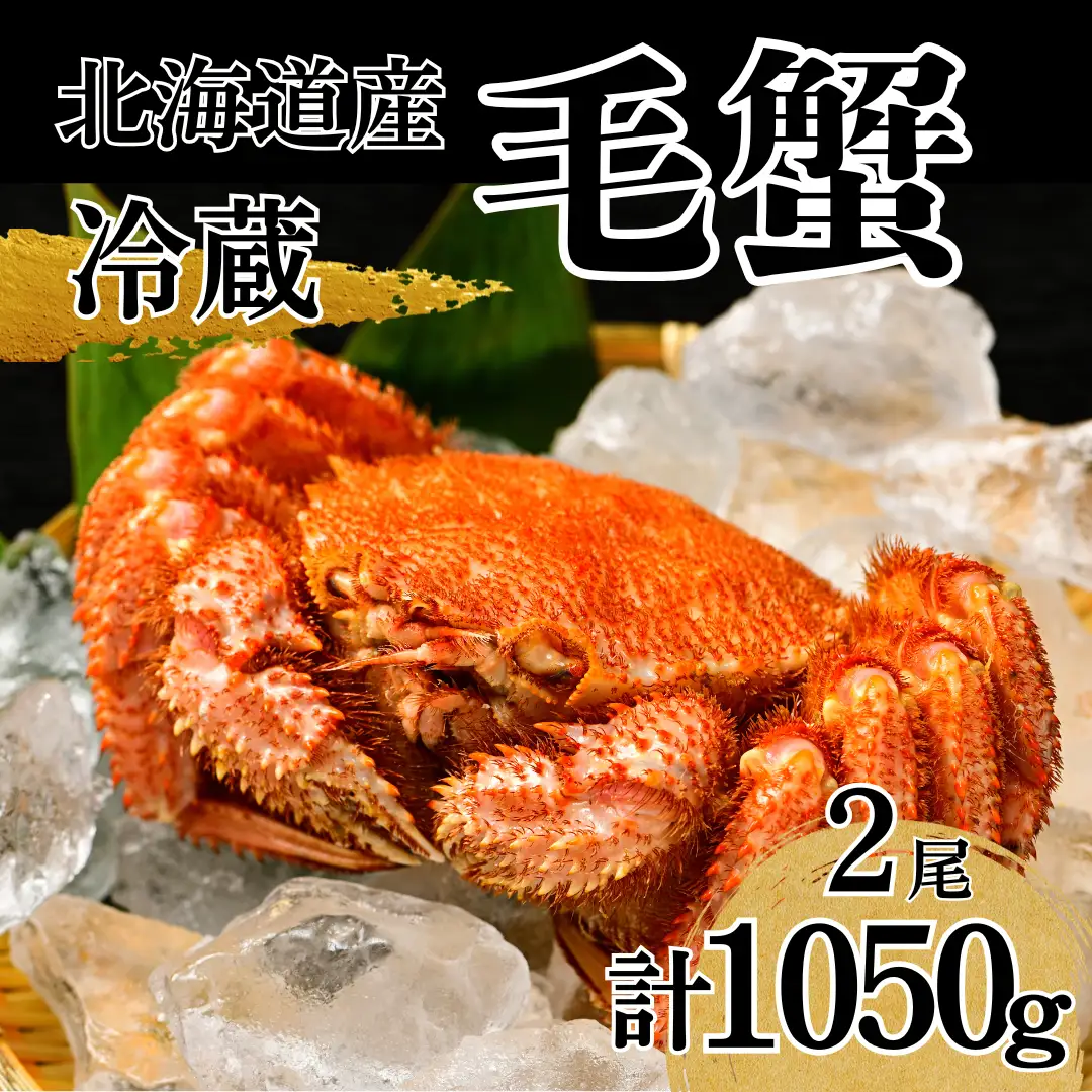  活ゆで毛蟹 2尾で1050～1100g【冷蔵】国産 北海道産 毛ガニ かに 毛蟹 旬 けがに 蟹 毛かに 毛がに