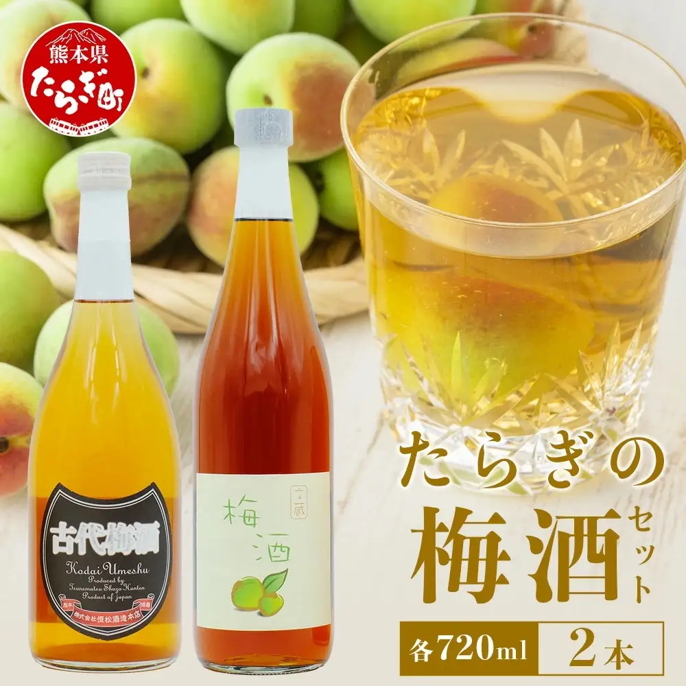 たらぎの 梅酒 セット 720ml × 2本 ≪古代 梅酒≫≪ 梅酒 文蔵≫ 球磨焼酎 多良木町 米 焼酎 梅 うめ酒 お酒 球磨 贈り物 ギフト 熊本県 多良木町 015-0689