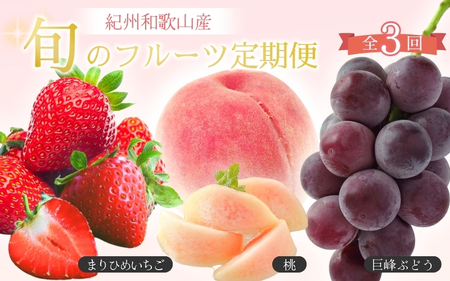 【2～3・7・9月 全3回】紀州和歌山産旬のフルーツセット（いちご・桃・巨峰）【UT96】【Z91153-tkb400】