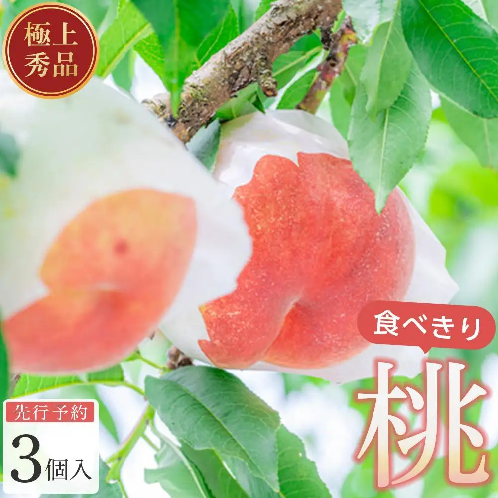 桃 極上秀品 食べきりやすい3個入［先行予約］［2027年7月下旬頃より順次発送］こだわり農家厳選！［KG18］桃