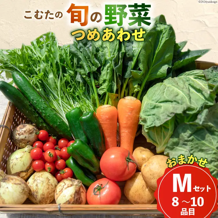 AI022【10～5月限定出荷】こむたの旬の野菜つめあわせ(8～10品目)おまかせ M セット 