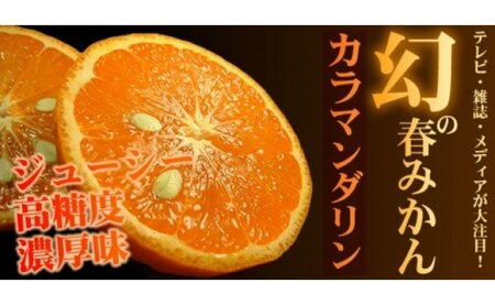 【2027年先行予約】カラマンダリン[約2.8kg]和歌山県有田産 春みかん (果実サイズおまかせ) 春柑橘 紀伊国屋文左衛門本舗_V7415
