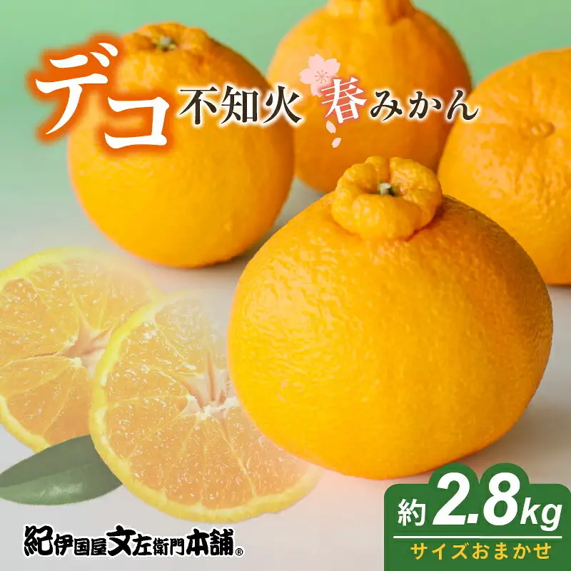 【2027年先行予約】春みかん「デコ」不知火 [約2.8kg] 湯浅町 田村産 (果実サイズおまかせ) / 紀伊国屋文左衛門本舗_V7431