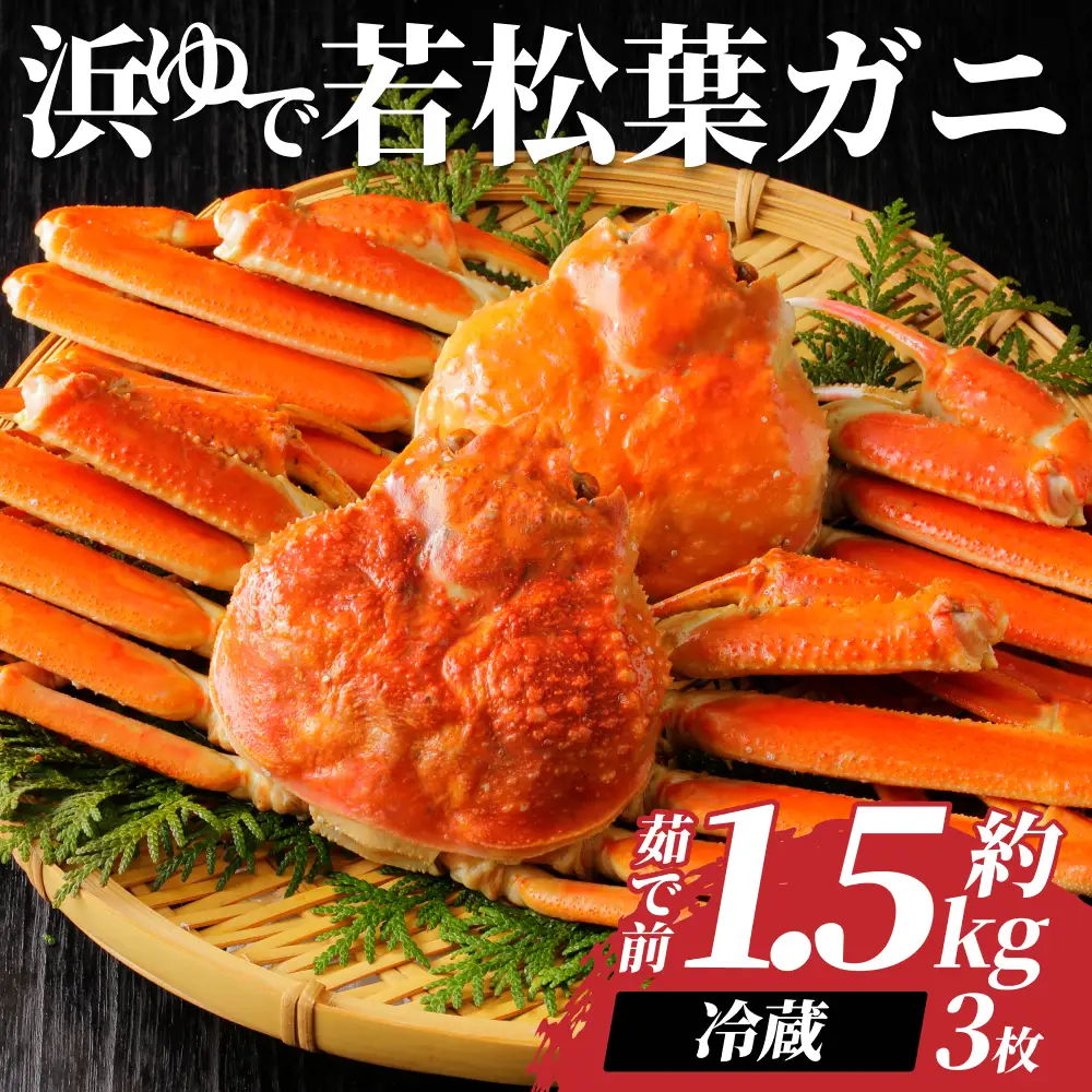 【先行予約】鳥取県岩美町特産 若松葉ガニ姿茹で 3枚セット※お届けは2027年2月上旬～【22043】