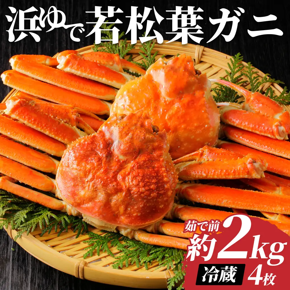 【先行予約】鳥取県岩美町特産 若松葉ガニ姿茹で 4枚セット※お届けは2027年2月上旬～【22044】