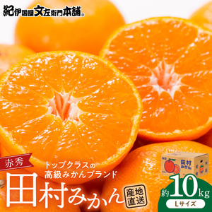 【2026年先行予約】田村みかん／特選ギフト品10kg【Lサイズ】赤秀_V7442