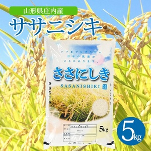 SZ0419　令和7年産【精米】ササニシキ　5kg×1袋 AK