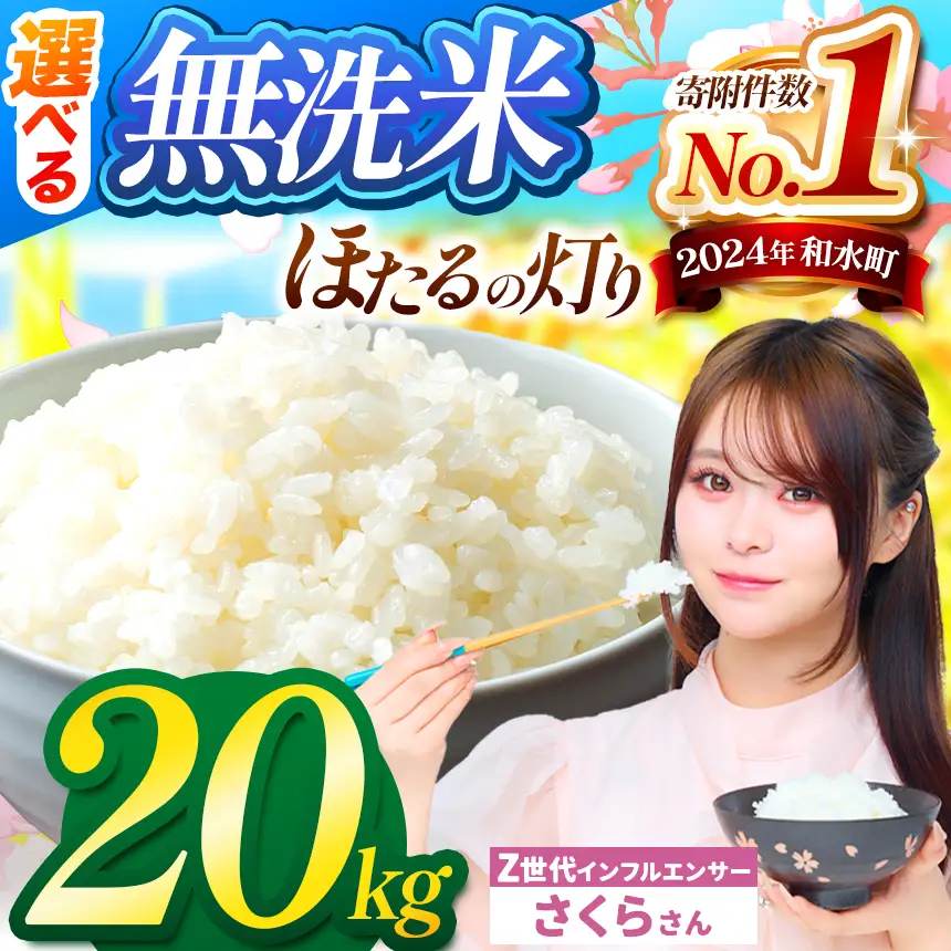 令和7年産 熊本県産 ほたるの灯り 無洗米 20kg | 選べる 銘柄 ほたるの灯り 森のくまさん 容量 5kg 10kg 15kg 20kg 25kg 30kg特A 小分け 訳あり 規格外 