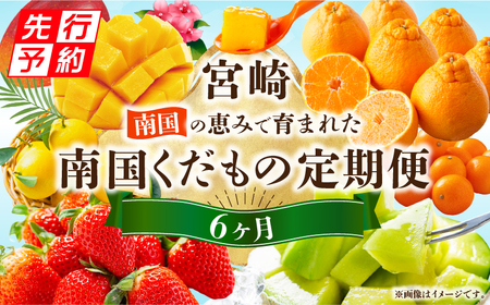 フルーツ 果物 フルーツ[2027年発送先行予約 定期便 6ヶ月]
