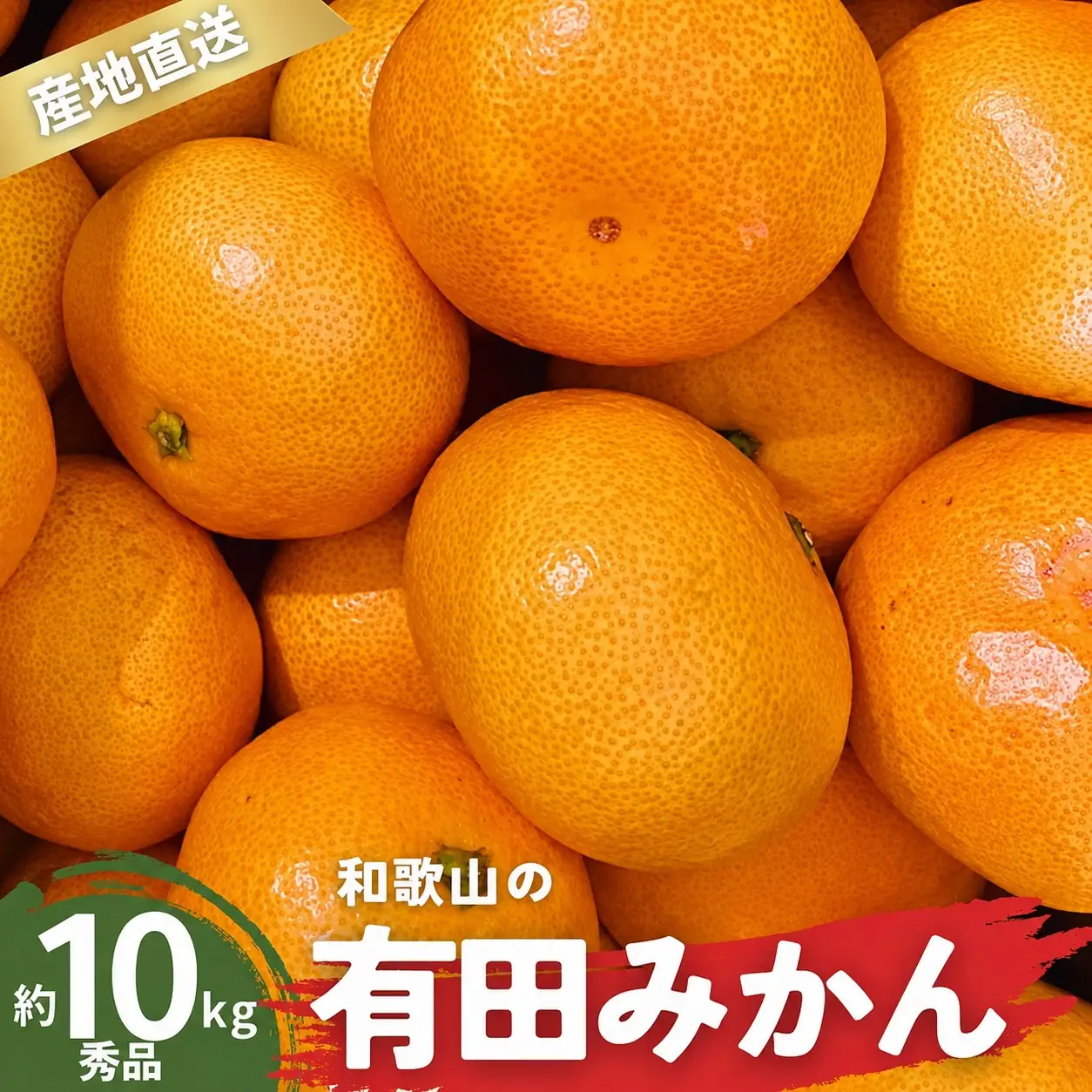 【11月発送】秀品 有田みかん 和歌山県産 S～Lサイズ 大きさお任せ 10kg / みかん フルーツ 果物 くだもの 有田みかん 蜜柑 柑橘【ktn003A-11】