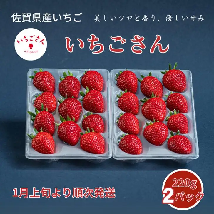 2027年発送！先行受付開始！佐賀県産いちご いちごさん 苺 イチゴ：B100-037