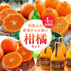 柑橘定期便【4回定期便】樹_ZS69007
