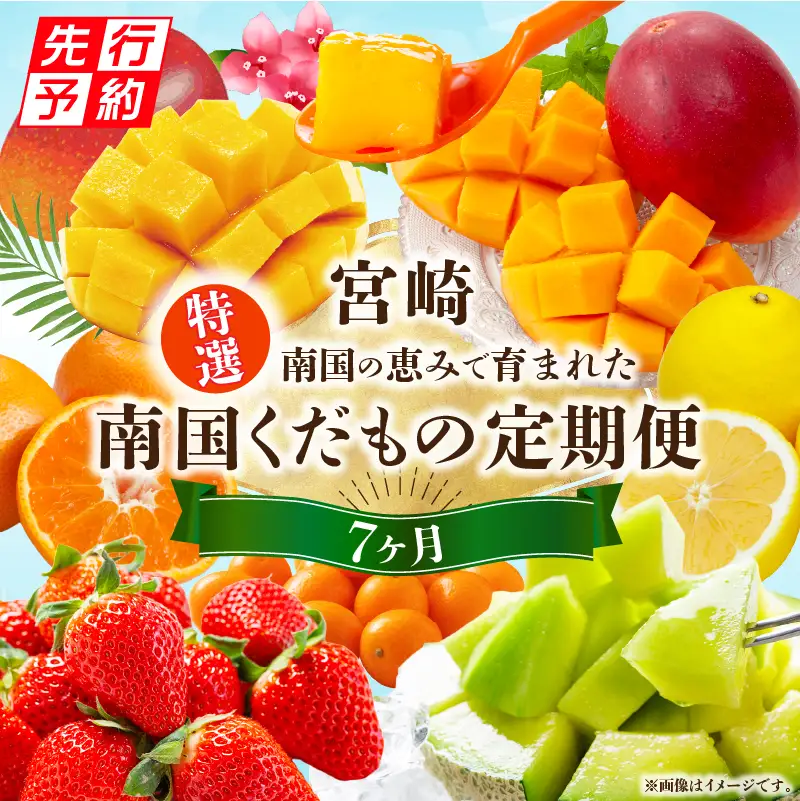 定期便 くだもの7ヶ月 定期便[2027年発送先行予約 数量・期間限定 特選]