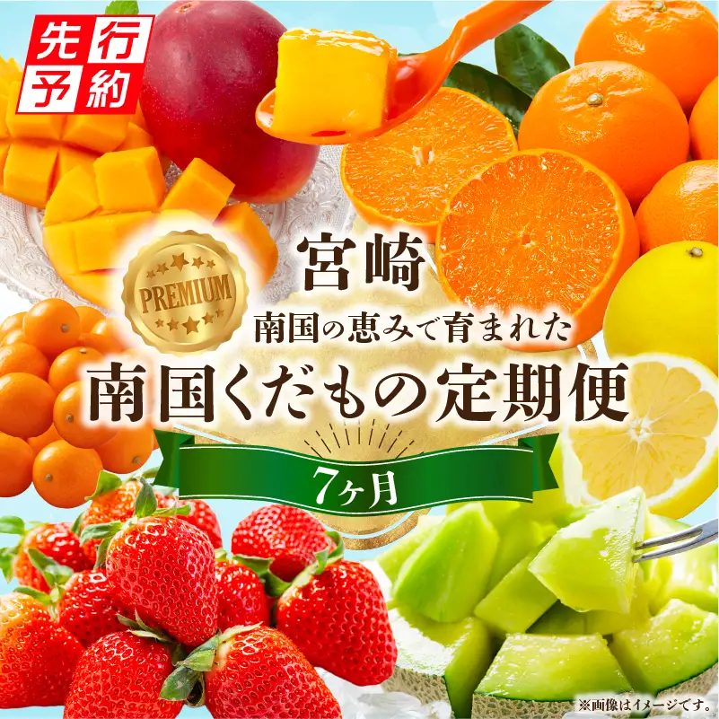 定期便 くだもの7ヶ月 定期便[2027年発送先行予約 数量・期間限定 南国]
