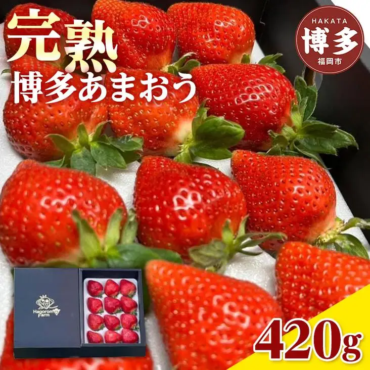 羽衣農園の完熟あまおうDX等級420g ９～15粒 | いちご イチゴ 苺 フルーツ 食品 人気 おすすめ 送料無料
