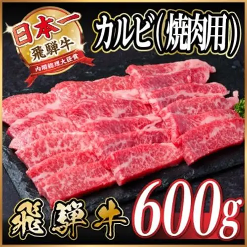 飛騨牛 厳選カルビ(焼肉・BBQ用) 600g(300g×2) 黒毛和牛 小分け A4～A5等級_肉 焼肉 牛肉 やきにく ヤキニク バーベキュー  肉 飛騨牛 牛肉 うし ビーフ_【配送不可地域：離島】【1543783】