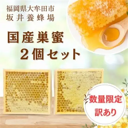 訳あり　国産巣蜜(コムハニー) 2個セット_調味料 はちみつ  ハチミツ 蜂蜜_【1158703】