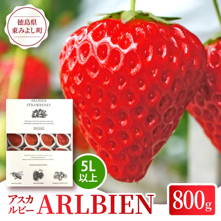 【アスカルビー】ARLBIEN(大箱)大玉(5L以上)【配送不可地域：離島】【1522195】